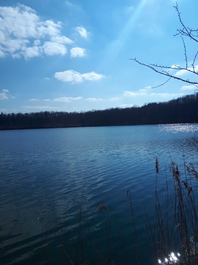 Waldsee 5.3.2022