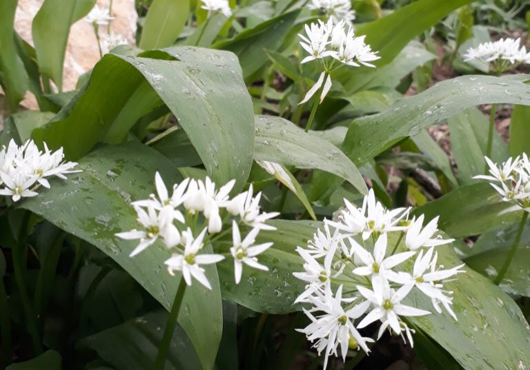 20190504_172431