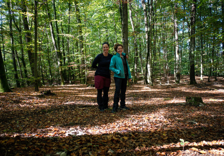 Im Wald